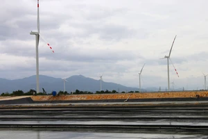 Tỉnh Ninh Thuận biến nắng và gió thành năng lượng tái tạo để phát triển