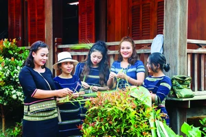 Lâm Đồng có sự đan xen đời sống, văn hóa của nhiều dân tộc, tạo ra sức hút đối với du khách khi trải nghiệm du lịch cộng đồng. Ảnh: ĐOÀN KIÊN