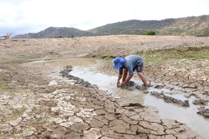Người dân tỉnh Ninh Thuận vét những giọt nước cuối cùng ở hồ Ông Kinh để tưới cho cây trồng