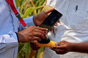 Ứng dụng vệ tinh của Cropin hỗ trợ nông dân Ấn Độ. Ảnh: REUTERS