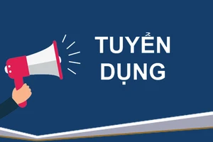 Bảo hiểm xã hội TPHCM tuyển dụng viên chức