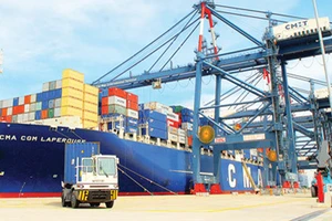 Ra mắt nhóm kiểm soát container cảng biển 