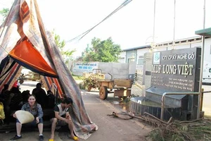 Người dân dựng lều trước cổng Công ty CP kỹ nghệ gỗ MDF Long Việt