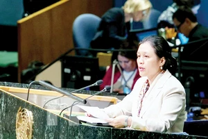 Đại sứ Nguyễn Phương Nga, Trưởng Phái đoàn thường trực Việt Nam tại Liên hiệp quốc, phát biểu tại Hội nghị về UNCLOS
