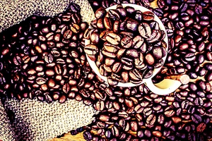 Trung Mỹ muốn lập hiệp hội cà phê chung