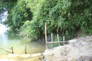 Sông Vệ ăn sâu uy hiếp khu dân cư của 36 hộ .Ảnh:Nguyễn Trang
