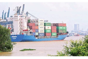 Các tàu trọng tải 30.000-50.000DWT dễ dàng ra vào các cảng TPHCM qua luồng Soài Rạp. Ảnh: Cao Thăng