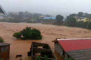 Lũ lụt ở Sierra Leone. Ảnh: AP.