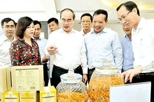 Bí thư Thành ủy TPHCM Nguyễn Thiện Nhân xem sản phẩm nông nghiệp công nghệ cao Ảnh: CAO THĂNG