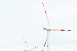 Điện gió tại Bình Thuận. Ảnh: THÀNH TRÍ