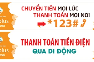 TPHCM: Cuối năm 2017 không còn đến nhà thu tiền điện