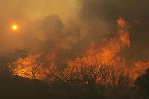 Đám cháy lan rộng tại nhiều nơi ở California. Ảnh: Reuters