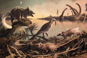 Phát hiện hóa thạch cổ nhất của động vật có vú
