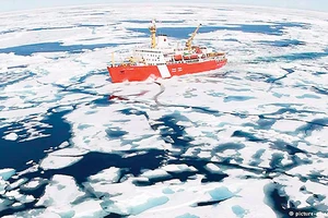 Các nước nhất trí không đánh bắt cá ở Bắc cực vì mục đích thương mại
