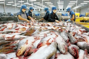 Xuất khẩu cá tra đạt trên 1,75 tỷ USD