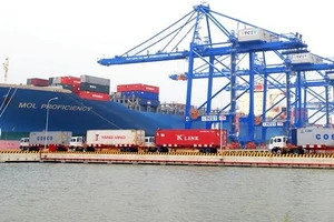 Tàu biển Việt Nam đảm nhận 100% vận tải nội địa container