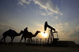 Bahrain phát hiện mỏ dầu lớn 