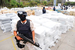 Guatemala bắt giữ 3 tấn cocaine