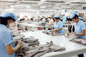 Dệt may - một trong những mặt hàng xuất khẩu chủ lực của Việt Nam vào thị trường Hàn Quốc. Ảnh: MỸ HẠNH