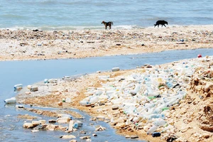 Nguy cơ ô nhiễm rác thải nhựa ở biển Địa Trung Hải 