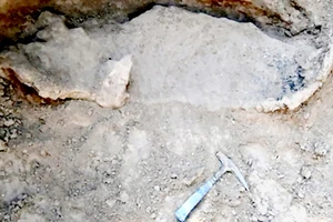 Phát hiện hóa thạch thú răng chạm 16.000 năm tuổi