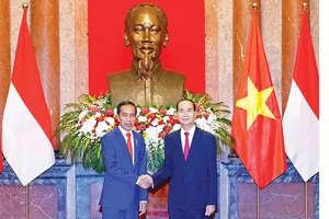 Chủ tịch nước Trần Đại Quang hội đàm Tổng thống Indonesia Joko Widodo