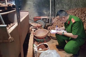Cơ quan chức năng TP Đà Lạt lập biên bản xử lý vụ trộn đất vào khoai tây Trung Quốc để bán ra thị trường với giá cao chiều ngày 21-8-2018. Ảnh: ĐOÀN KIÊN