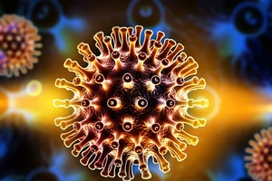 Phát hiện cách tiêu diệt tế bào nhiễm virus HIV