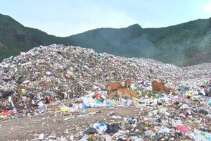 Hơn 35 tỷ đồng để vận chuyển rác thải từ Côn Đảo về đất liền