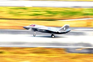 Chiến đấu cơ F-35B đâm phải chim, mất 2 triệu USD