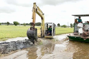 Chính quyền đẩy mạnh công tác gia cố đê bao để bảo vệ lúa tại Long An. Ảnh: KIẾN VĂN