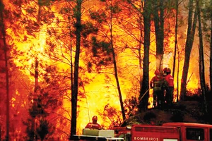 Lính cứu hỏa Bồ Đào Nha nỗ lực dập lửa trong vụ cháy rừng