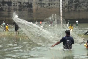 Người dân bắt cá sau khi nhà máy Thủy điện Trị An ngưng xả tràn