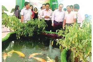 Bí thư Thành ủy TPHCM Nguyễn Thiện Nhân tham quan các mô hình sản xuất nông nghiệp tại hội thảo