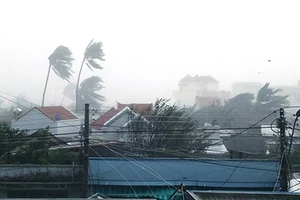Tiếp tục có nguy cơ cao xuất hiện bão hoặc áp thấp nhiệt đới trong tháng 1-2018