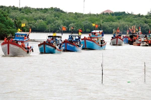Tàu cá tại cảng thị trấn Cần Thạnh, huyện Cần Giờ, TPHCM. Ảnh: CAO THĂNG