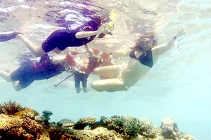 Australia bảo vệ du khách thăm san hô