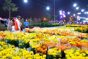 Khách tham quan gian hàng hoa tại chợ Hoa xuân Bình Điền 2018