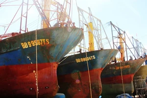 Bộ NN-PTNT báo cáo thực trạng tàu cá đóng theo Nghị định 67 nằm bờ hàng loạt