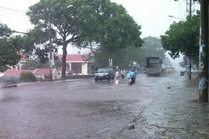 Thừa Thiên - Huế: Xuất hiện trận “mưa vàng” giải hạn