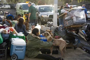 Những người vô gia cư ở TP Honolulu - Mỹ. Ảnh: STAR ADVERTISER