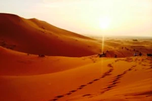 Biến sa mạc Sahara thành nhà máy điện