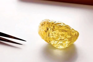 Kim cương lớn nhất Bắc Mỹ