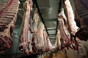 Latvia phát hiện thịt bò “bẩn” từ Ba Lan