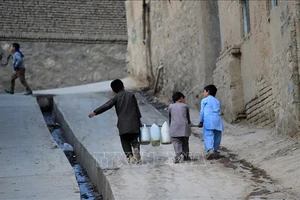 Sống sót ở Kabul