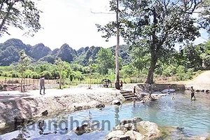 Điểm du lịch Suối Tạ Bó ở xã Yên Khê, huyện Con Cuông, Nghệ An. Ảnh: Báo Nghệ An
