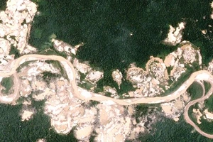 17 năm, Amazon mất 30 triệu ha rừng nguyên sinh