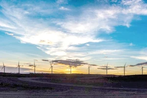 Kenya đã đưa vào hoạt động trang trại điện gió lớn nhất châu Phi
