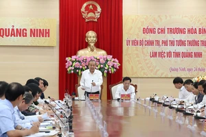 Phó Thủ tướng Trương Hòa Bình phát biểu tại buổi làm việc. Ảnh VGP