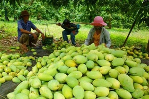 EU bắt đầu kiểm tra chặt chẽ nông sản Việt Nam từ 1-9